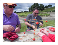 wacky wine games team building